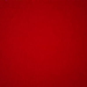 Meet your Posher, Carly